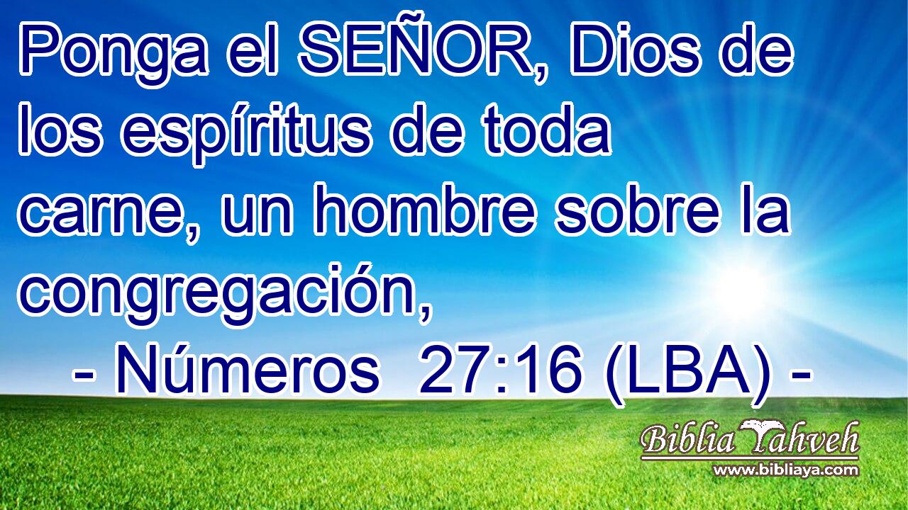 Ponga el SEÑOR, Dios de los espíritus de toda carne, un hombre sobre la congregación,
