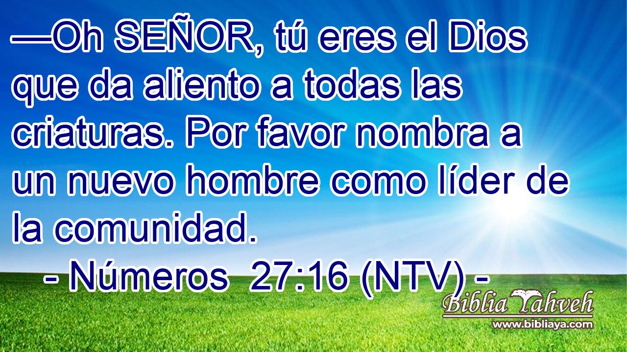 —Oh SEÑOR, tú eres el Dios que da aliento a todas las criaturas. Por favor nombra a un nuevo hombre como líder de la comunidad.