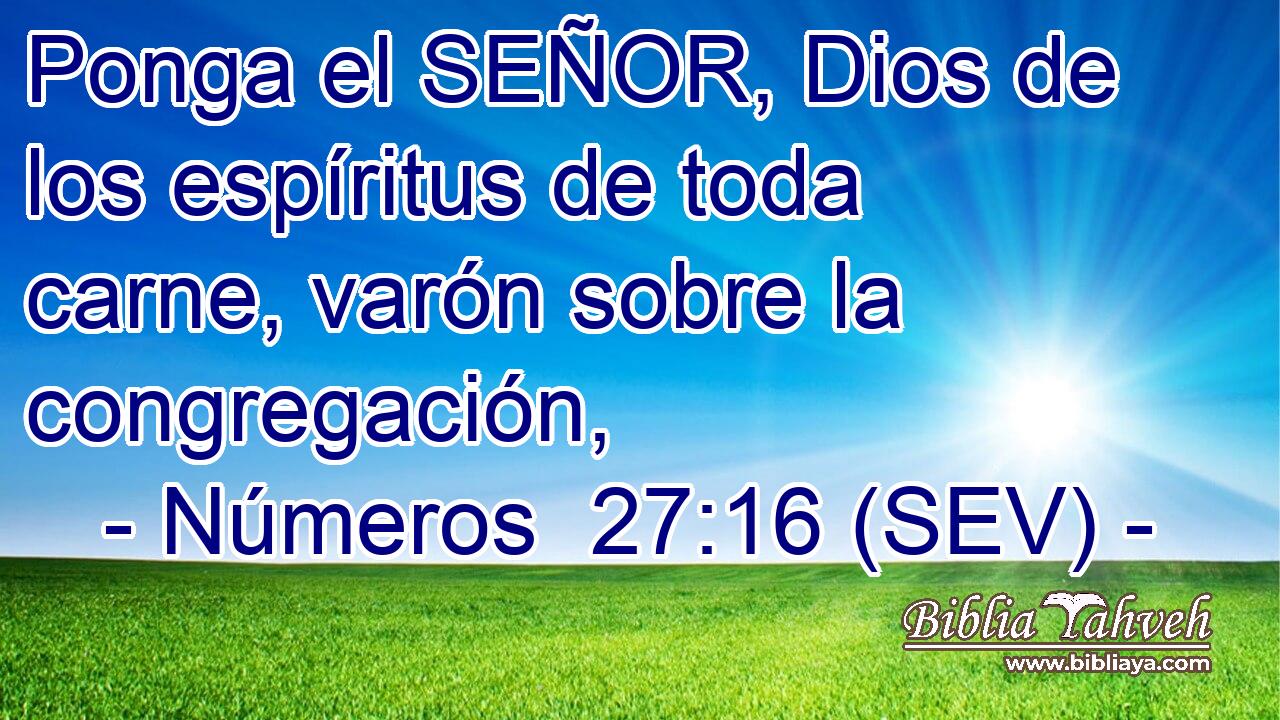 Ponga el SEÑOR, Dios de los espíritus de toda carne, varón sobre la congregación,
