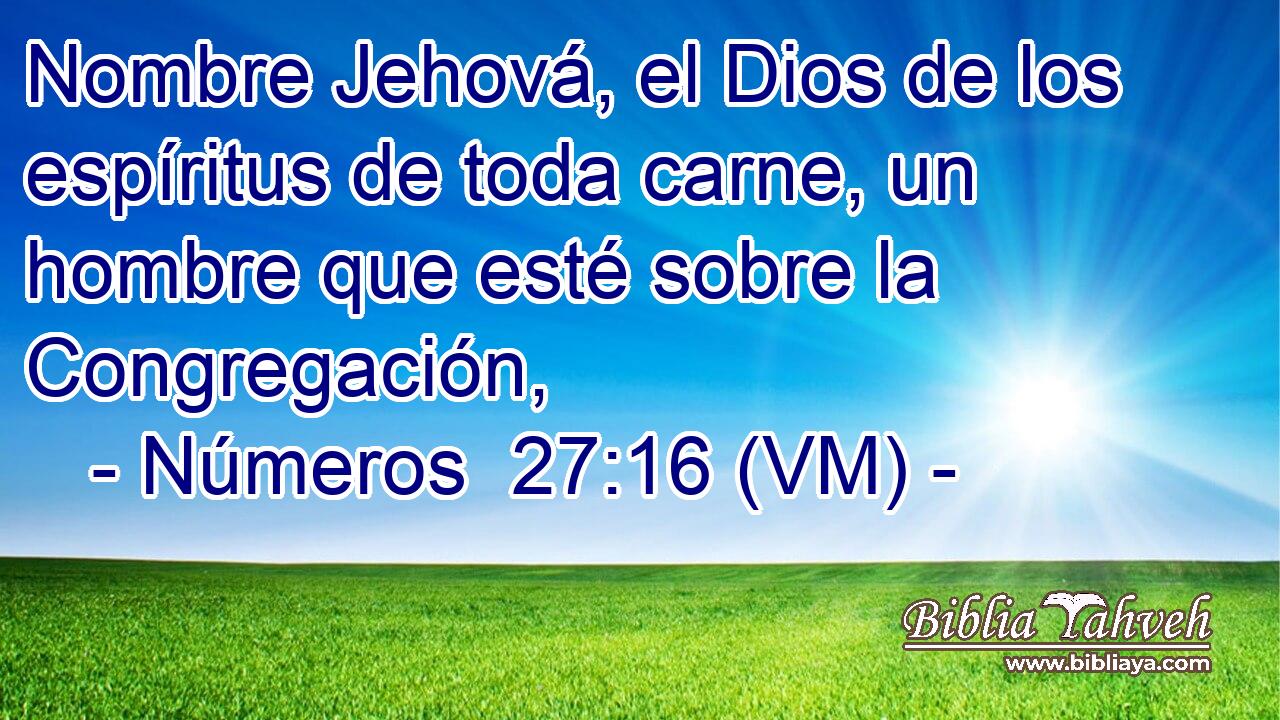  Nombre Jehová, el Dios de los espíritus de toda carne, un hombre que esté sobre la Congregación, 