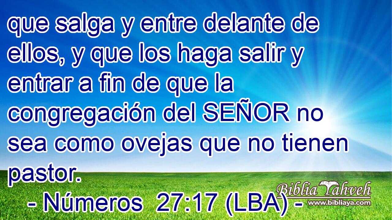 que salga y entre delante de ellos, y que los haga salir y entrar a fin de que la congregación del SEÑOR no sea como ovejas que no tienen pastor.