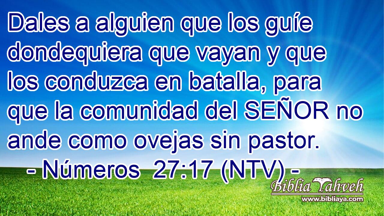 Dales a alguien que los guíe dondequiera que vayan y que los conduzca en batalla, para que la comunidad del SEÑOR no ande como ovejas sin pastor.