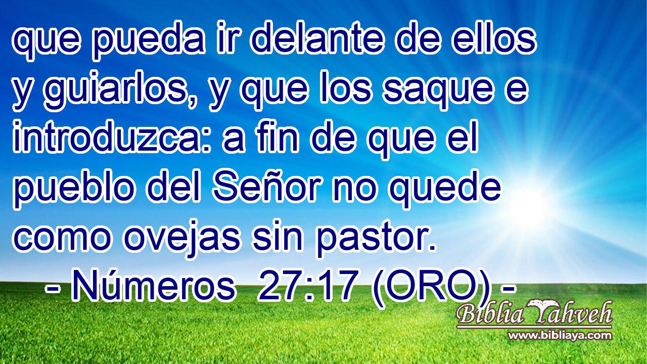  que pueda ir delante de ellos y guiarlos, y que los saque e introduzca: a fin de que el pueblo del Señor no quede como ovejas sin pastor. 