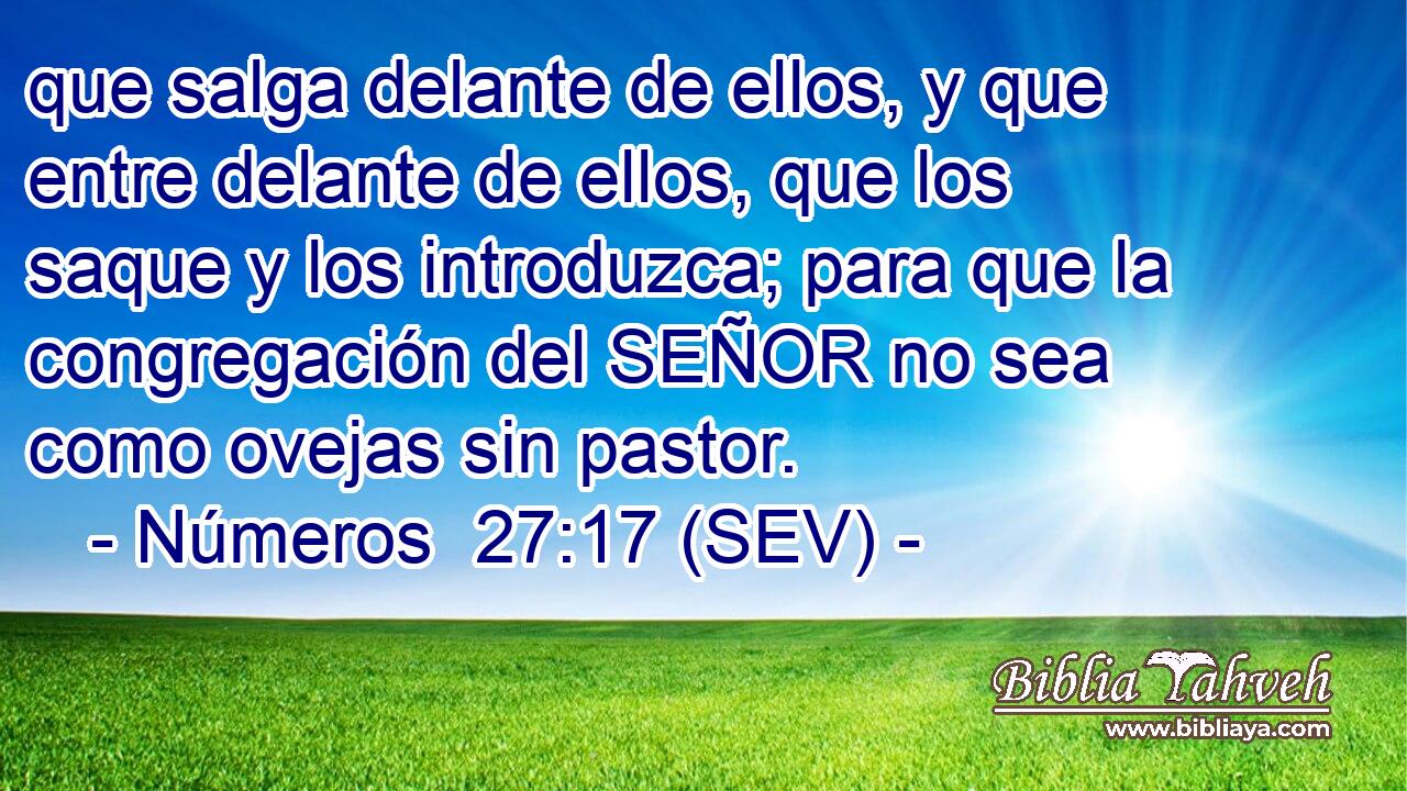 que salga delante de ellos, y que entre delante de ellos, que los saque y los introduzca; para que la congregación del SEÑOR no sea como ovejas sin pastor.