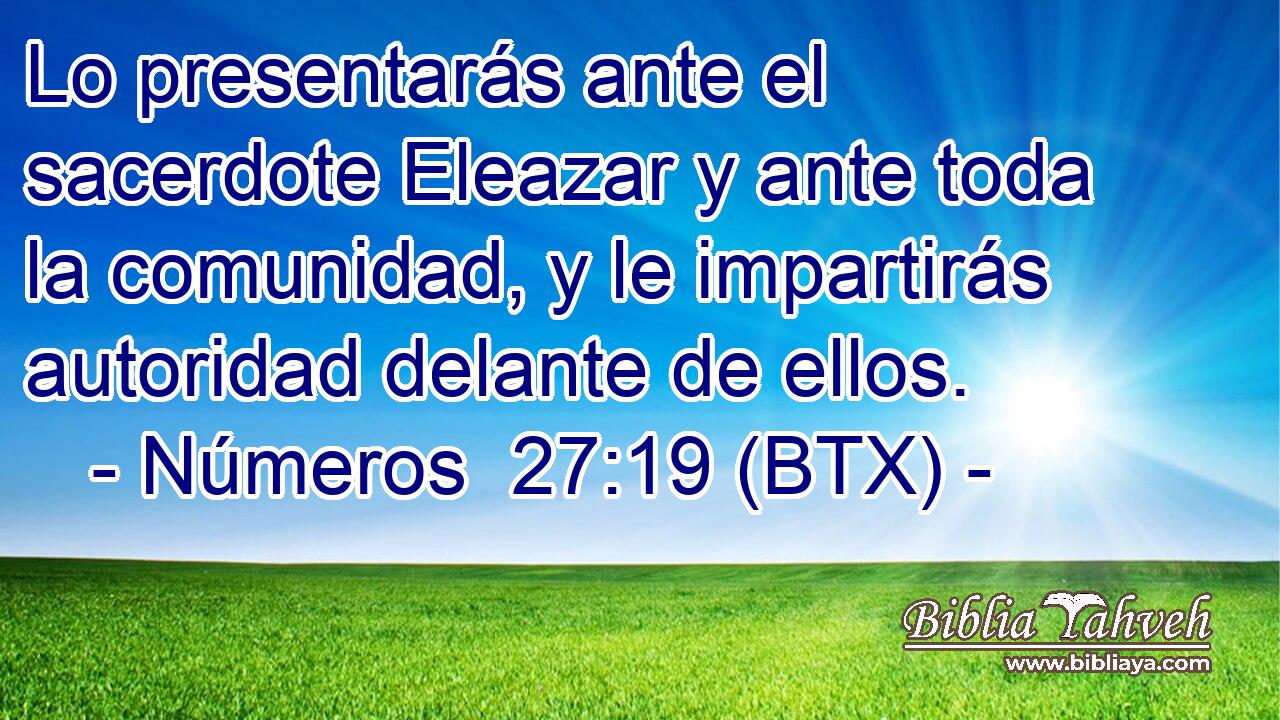 Lo presentarás ante el sacerdote Eleazar y ante toda la comunidad, y le impartirás autoridad delante de ellos.