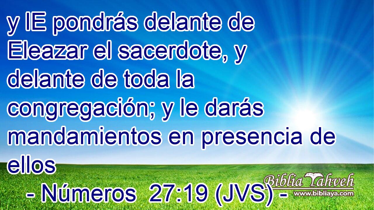 y lE pondrás delante de Eleazar el sacerdote, y delante de toda la congregación; y le darás mandamientos en presencia de ellos