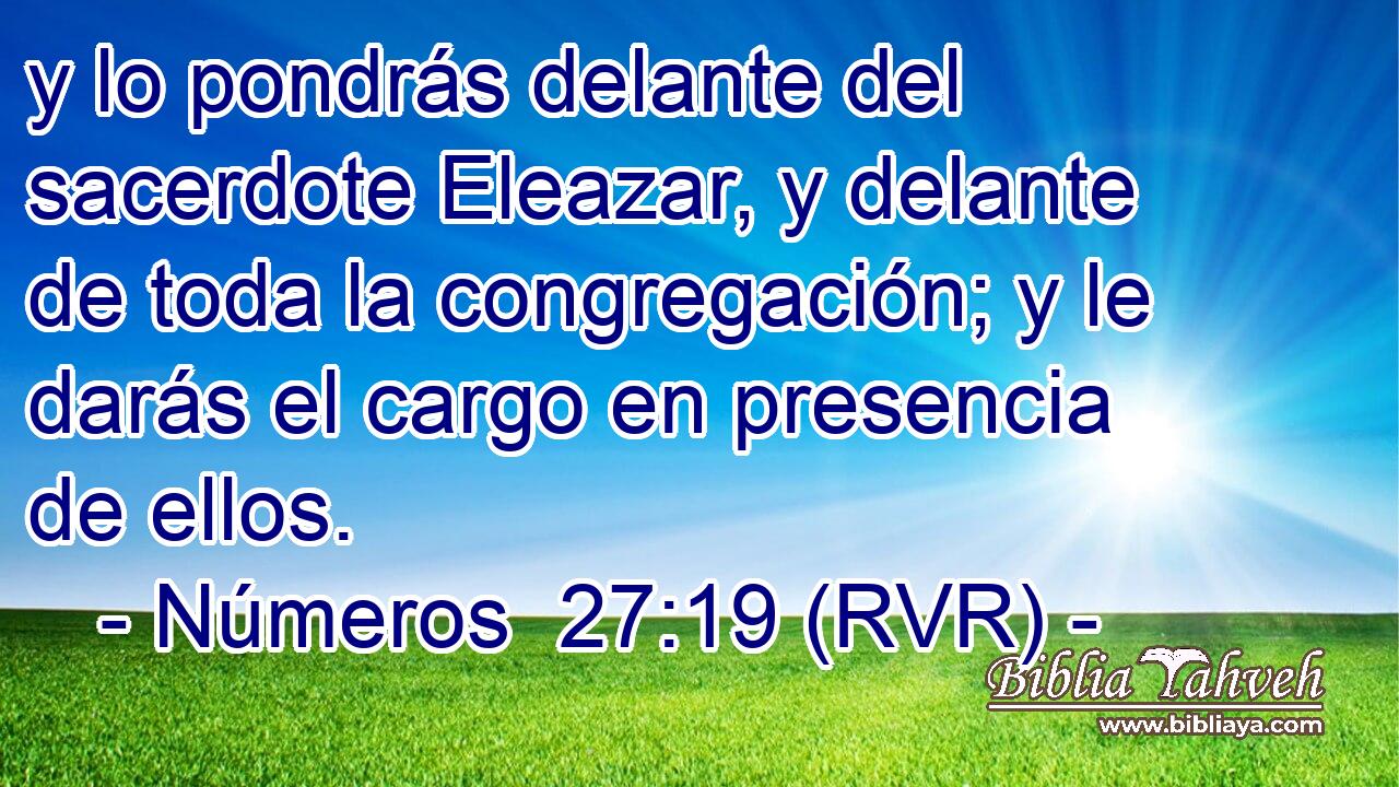 y lo pondrás delante del sacerdote Eleazar, y delante de toda la congregación; y le darás el cargo en presencia de ellos.