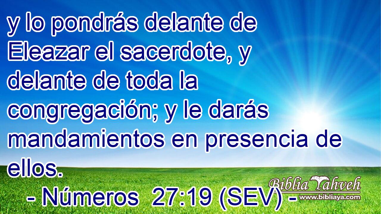 y lo pondrás delante de Eleazar el sacerdote, y delante de toda la congregación; y le darás mandamientos en presencia de ellos.