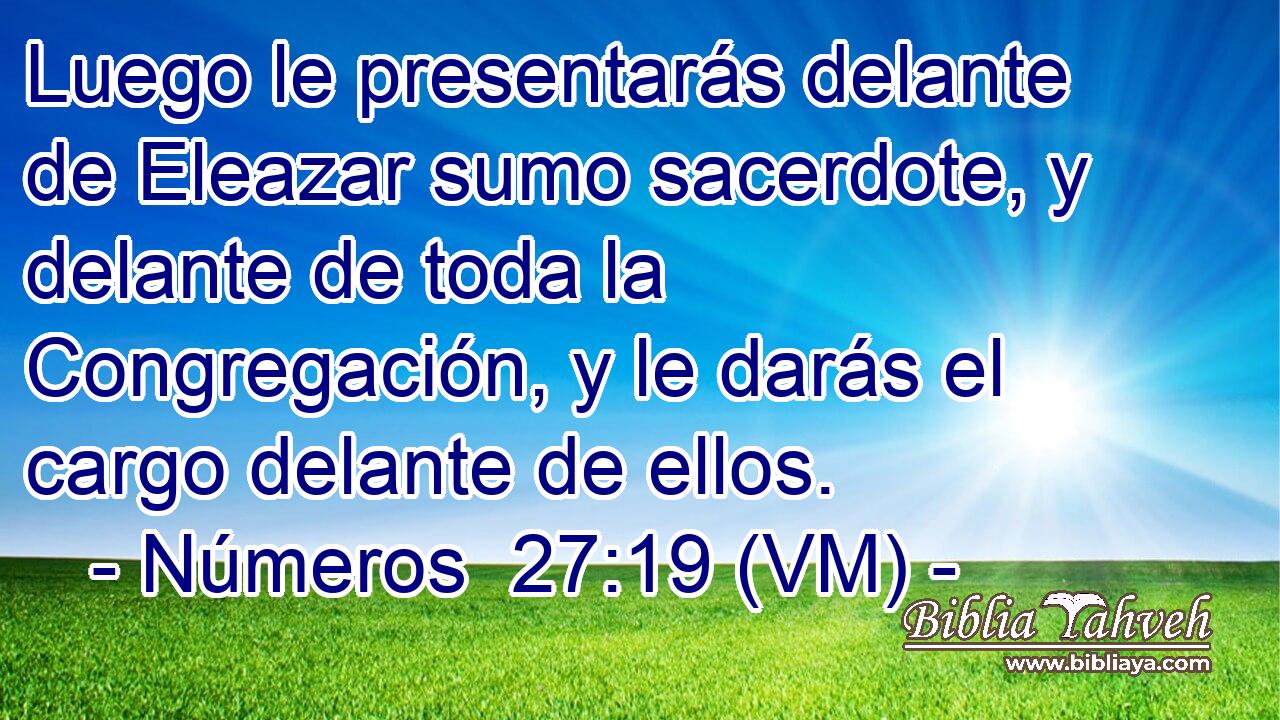  Luego le presentarás delante de Eleazar sumo sacerdote, y delante de toda la Congregación, y le darás el cargo delante de ellos. 