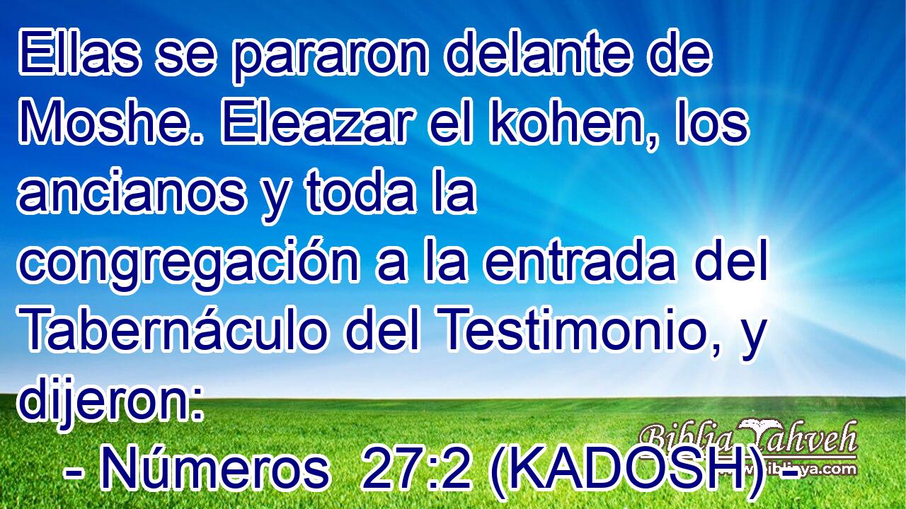  Ellas se pararon delante de Moshe. Eleazar el kohen, los ancianos y toda la congregación a la entrada del Tabernáculo del Testimonio, y dijeron: 