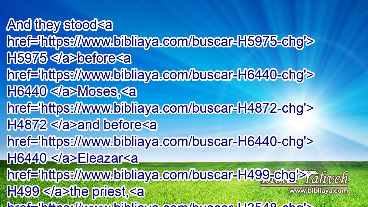 And they stood H5975 before H6440 Moses, H4872 and before H6440 Eleazar H499 the priest, H3548 and before H6440 the princes H5387 and all H3605 the congregation, H5712 by the door H6607 of the tabernacle H168 of the congregation, H4150 saying,H559