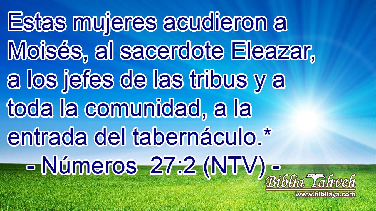 Estas mujeres acudieron a Moisés, al sacerdote Eleazar, a los jefes de las tribus y a toda la comunidad, a la entrada del tabernáculo.*