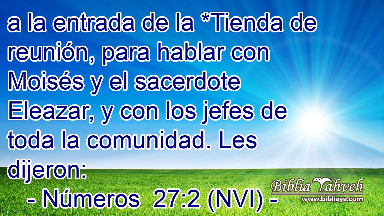  a la entrada de la *Tienda de reunión, para hablar con Moisés y el sacerdote Eleazar, y con los jefes de toda la comunidad. Les dijeron: 