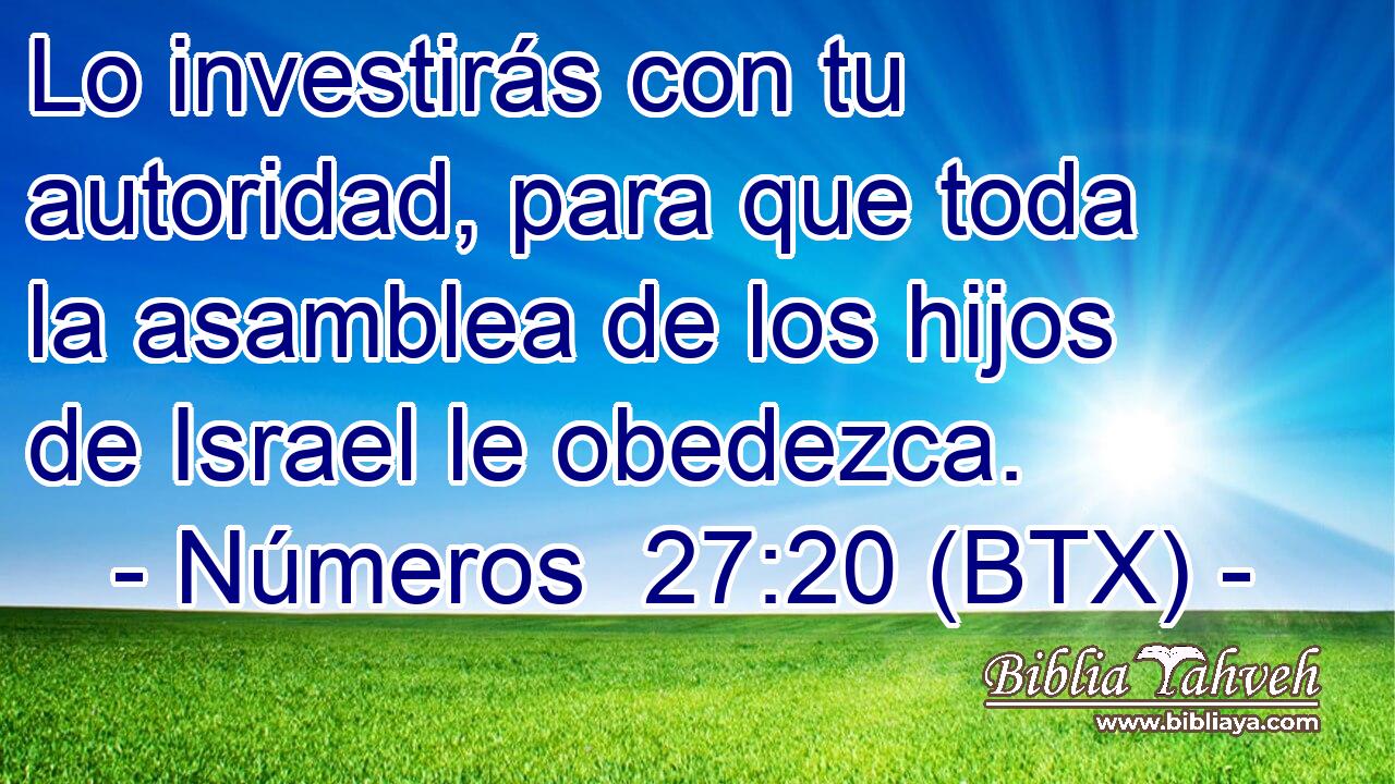 Lo investirás con tu autoridad, para que toda la asamblea de los hijos de Israel le obedezca.