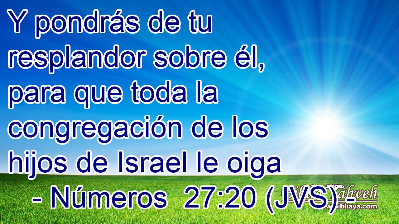Y pondrás de tu resplandor sobre él, para que toda la congregación de los hijos de Israel le oiga