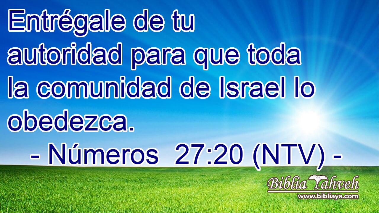 Entrégale de tu autoridad para que toda la comunidad de Israel lo obedezca.