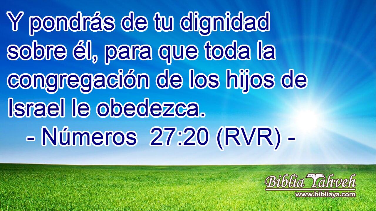 Y pondrás de tu dignidad sobre él, para que toda la congregación de los hijos de Israel le obedezca.