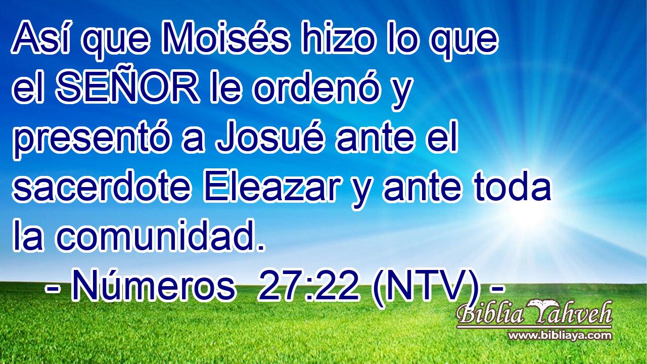 Así que Moisés hizo lo que el SEÑOR le ordenó y presentó a Josué ante el sacerdote Eleazar y ante toda la comunidad.