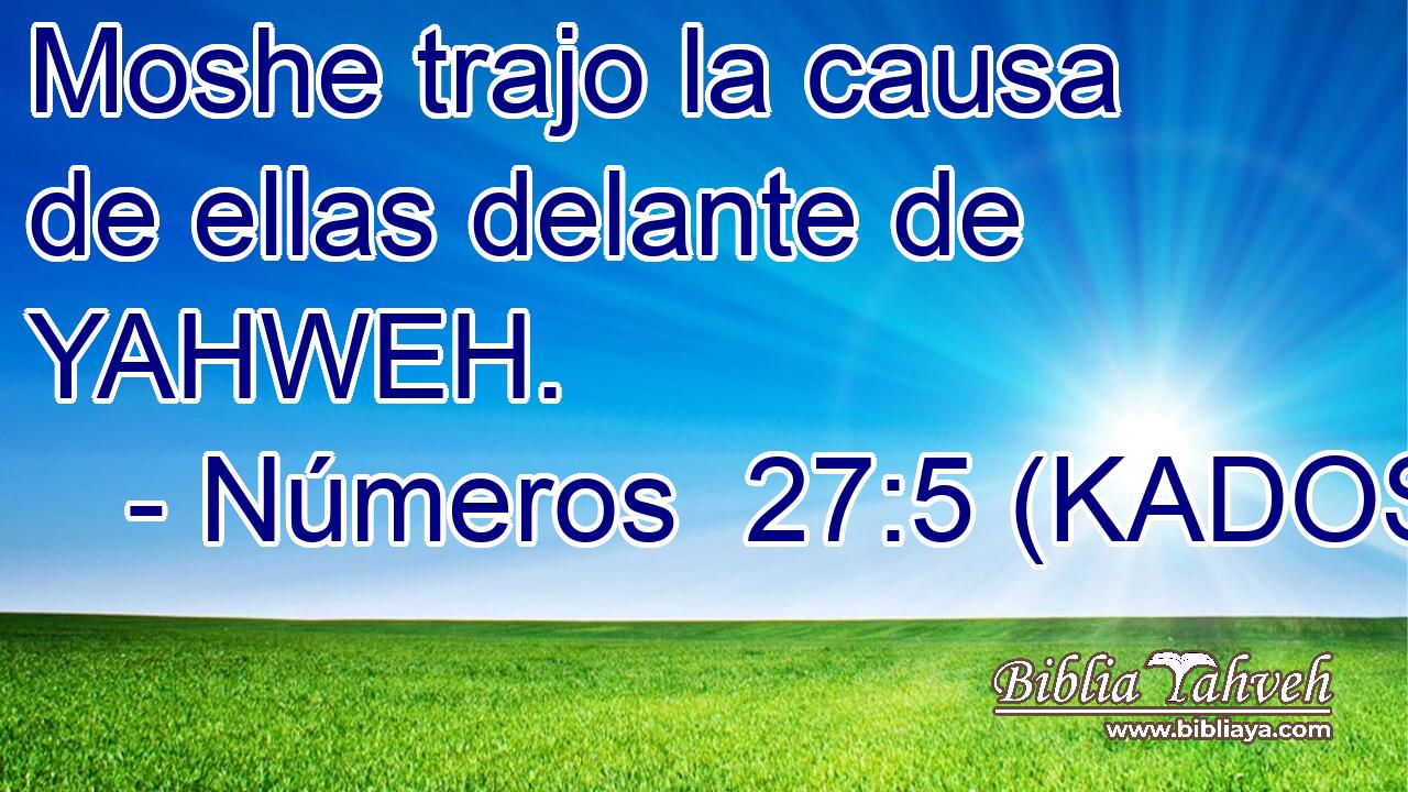  Moshe trajo la causa de ellas delante de YAHWEH. 