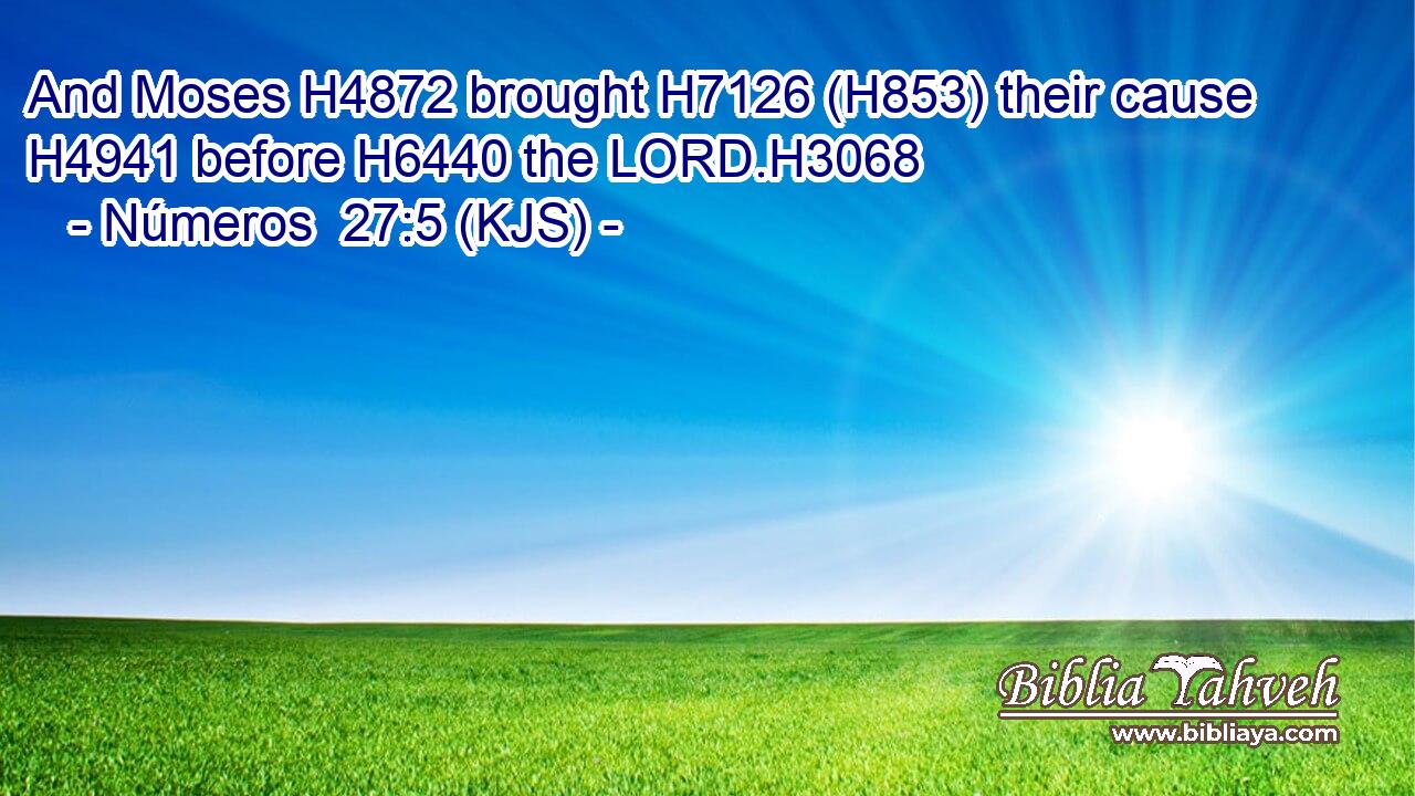 And Moses H4872 brought H7126 (H853) their cause H4941 before H6440 the LORD.H3068