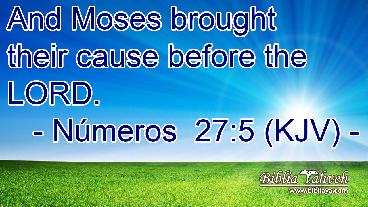 And Moses brought their cause before the LORD.