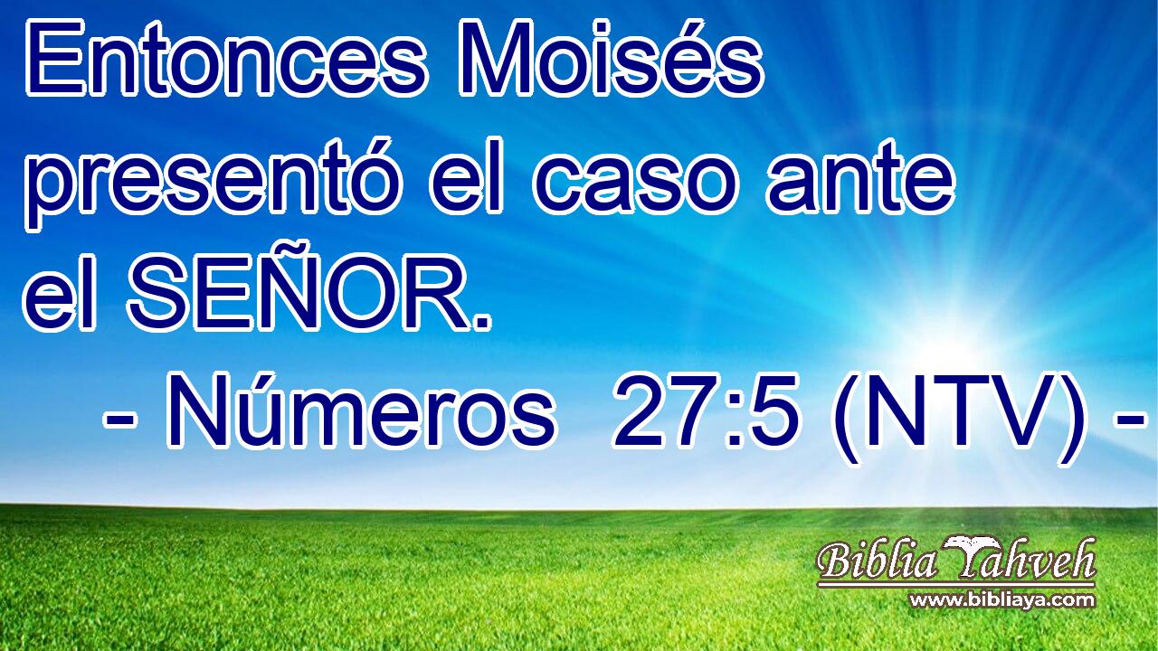 Entonces Moisés presentó el caso ante el SEÑOR.