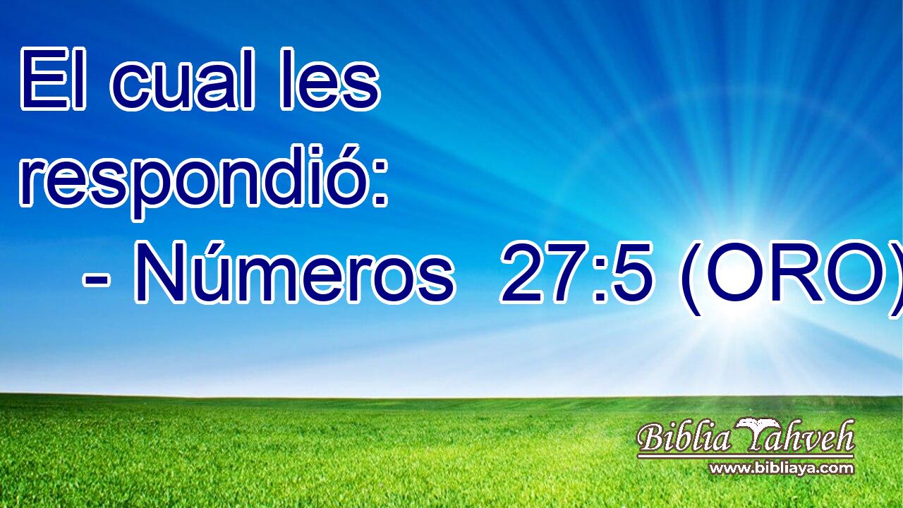  El cual les respondió: 