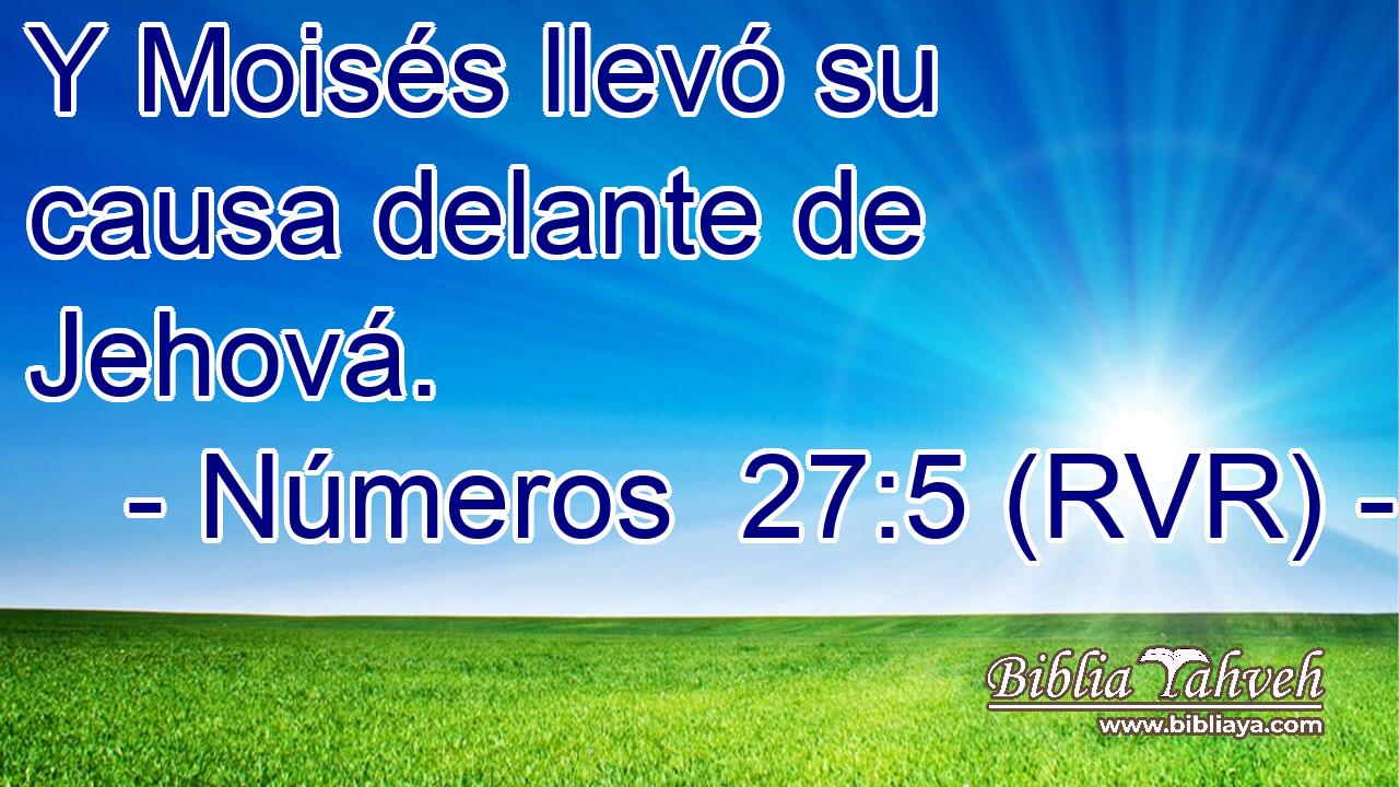 Y Moisés llevó su causa delante de Jehová.