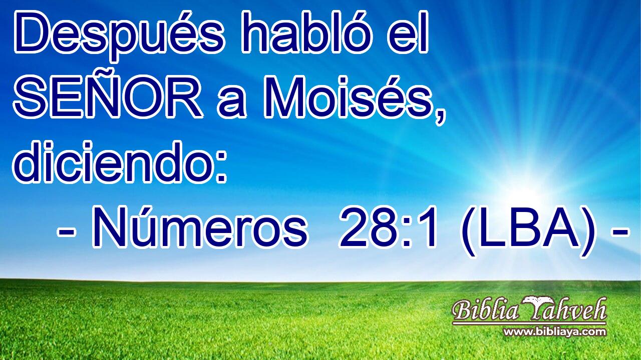 Después habló el SEÑOR a Moisés, diciendo:
