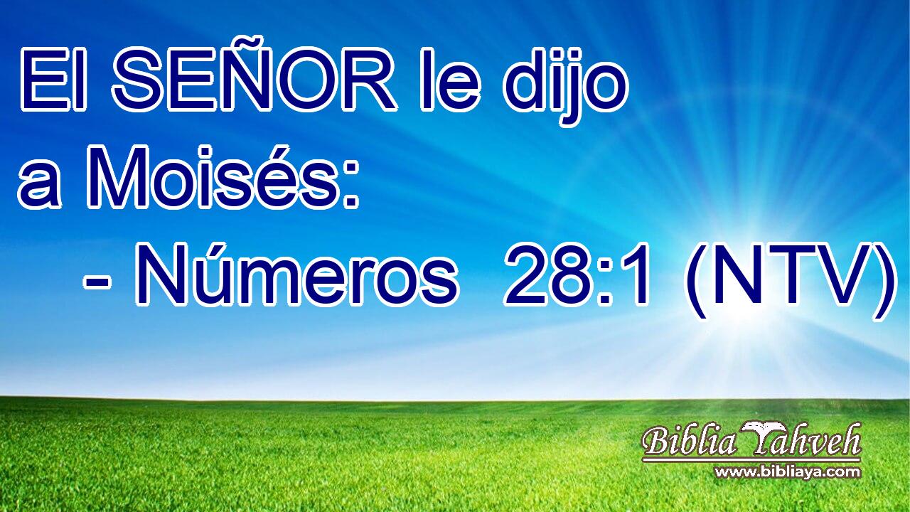 El SEÑOR le dijo a Moisés: