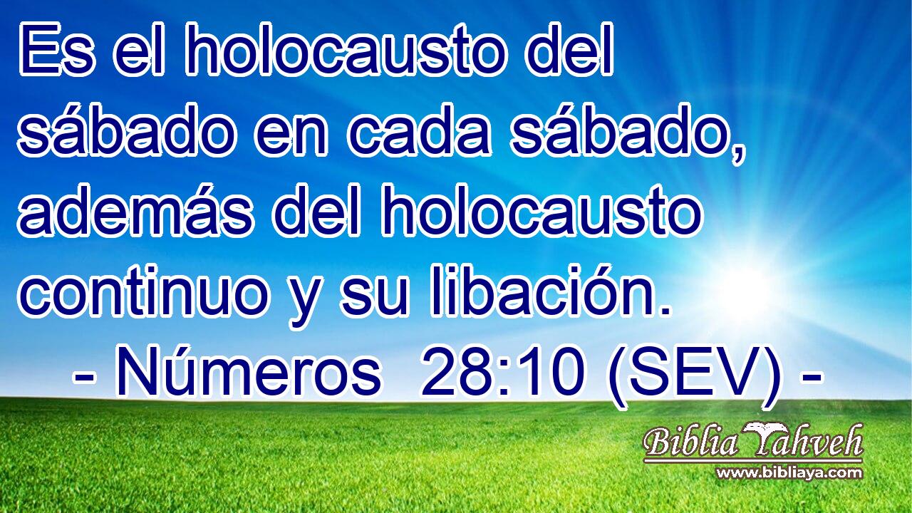 Es el holocausto del sábado en cada sábado, además del holocausto continuo y su libación.