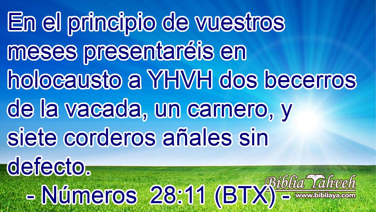 En el principio de vuestros meses presentaréis en holocausto a YHVH dos becerros de la vacada, un carnero, y siete corderos añales sin defecto.