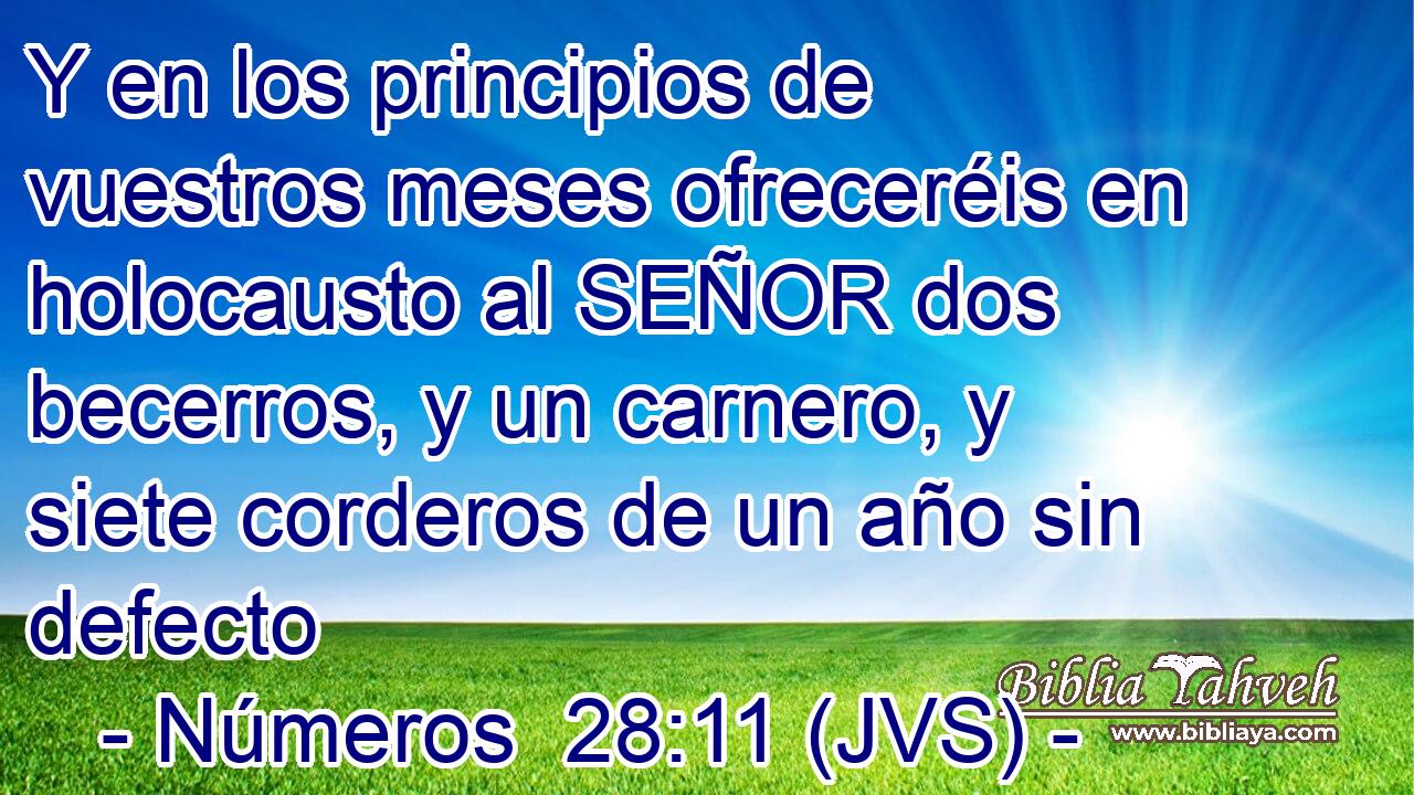 Y en los principios de vuestros meses ofreceréis en holocausto al SEÑOR dos becerros, y un carnero, y siete corderos de un año sin defecto