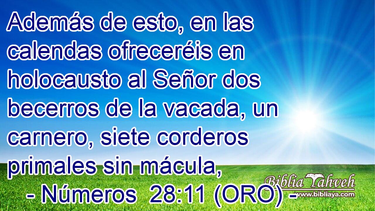  Además de esto, en las calendas ofreceréis en holocausto al Señor dos becerros de la vacada, un carnero, siete corderos primales sin mácula, 