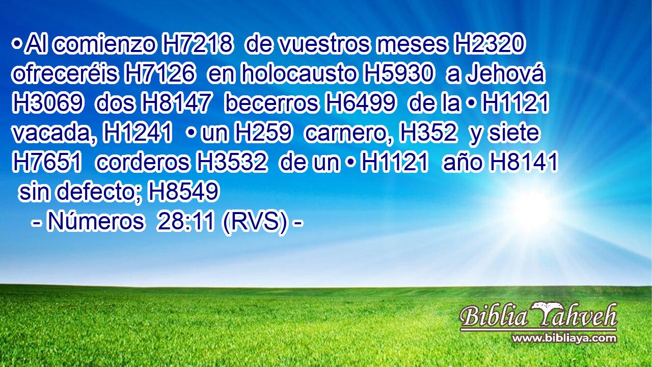 • Al comienzo H7218  de vuestros meses H2320  ofreceréis H7126  en holocausto H5930  a Jehová H3069  dos H8147  becerros H6499  de la • H1121  vacada, H1241  • un H259  carnero, H352  y siete H7651  corderos H3532  de un • H1121  año H8141  sin defecto; H8549  
