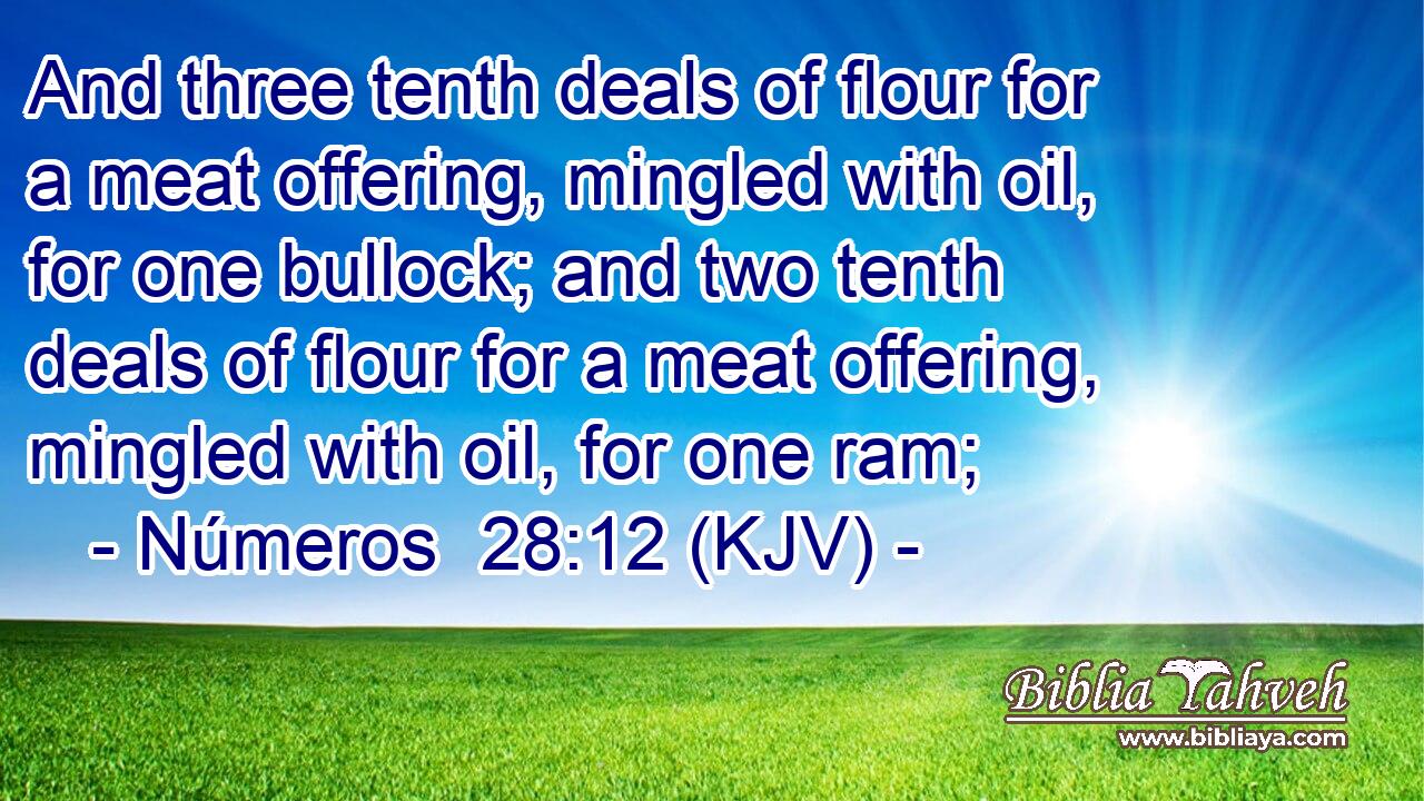 And three tenth deals of flour for a meat offering, mingled with oil, for one bullock; and two tenth deals of flour for a meat offering, mingled with oil, for one ram;
