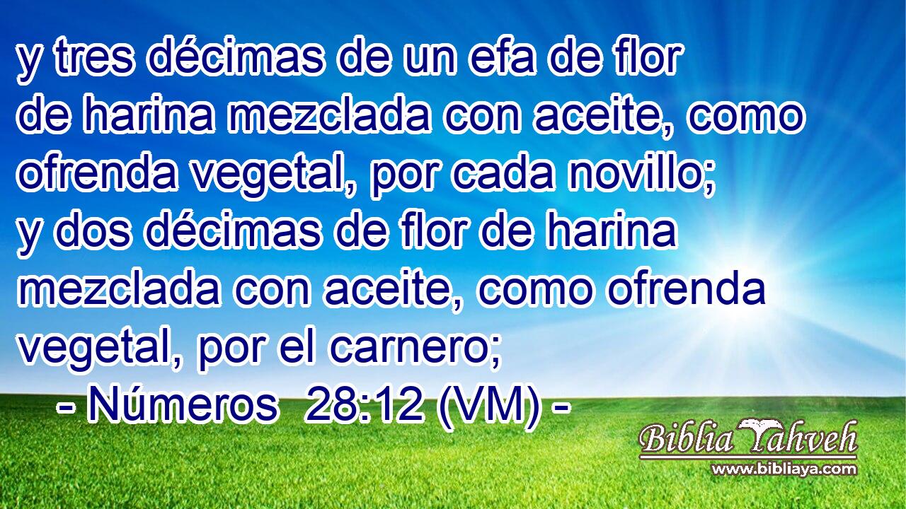  y tres décimas de un efa de flor de harina mezclada con aceite, como ofrenda vegetal, por cada novillo; y dos décimas de flor de harina mezclada con aceite, como ofrenda vegetal, por el carnero; 