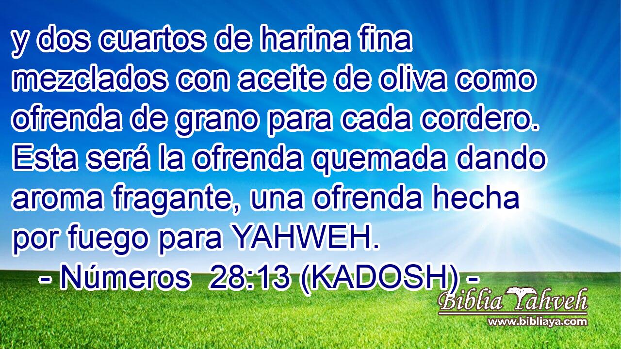  y dos cuartos de harina fina mezclados con aceite de oliva como ofrenda de grano para cada cordero. Esta será la ofrenda quemada dando aroma fragante, una ofrenda hecha por fuego para YAHWEH. 