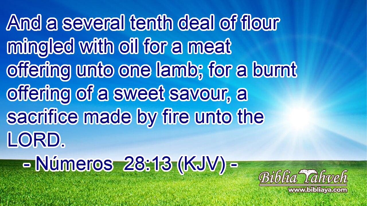 And a several tenth deal of flour mingled with oil for a meat offering unto one lamb; for a burnt offering of a sweet savour, a sacrifice made by fire unto the LORD.