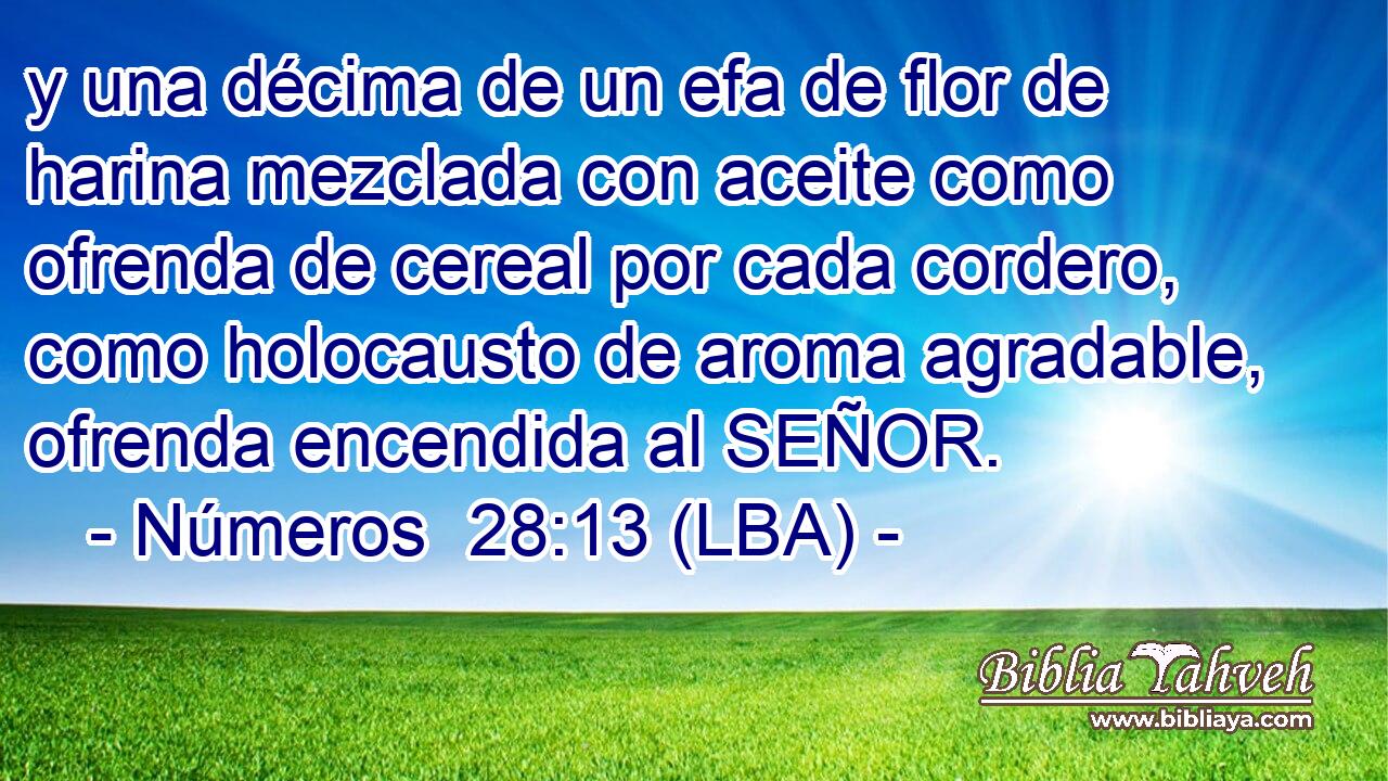 y una décima de un efa de flor de harina mezclada con aceite como ofrenda de cereal por cada cordero, como holocausto de aroma agradable, ofrenda encendida al SEÑOR.