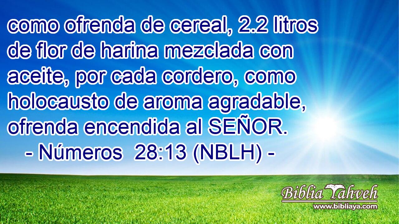  como ofrenda de cereal, 2.2 litros de flor de harina mezclada con aceite, por cada cordero, como holocausto de aroma agradable, ofrenda encendida al SEÑOR. 