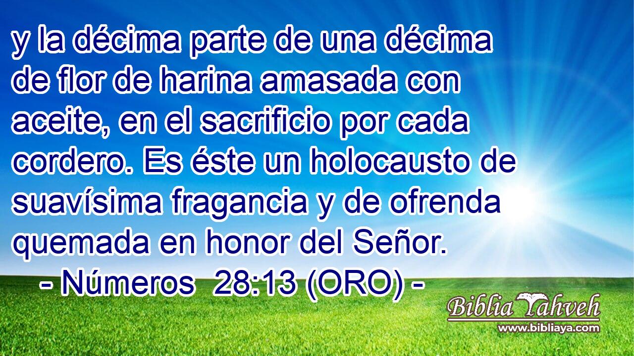  y la décima parte de una décima de flor de harina amasada con aceite, en el sacrificio por cada cordero. Es éste un holocausto de suavísima fragancia y de ofrenda quemada en honor del Señor. 