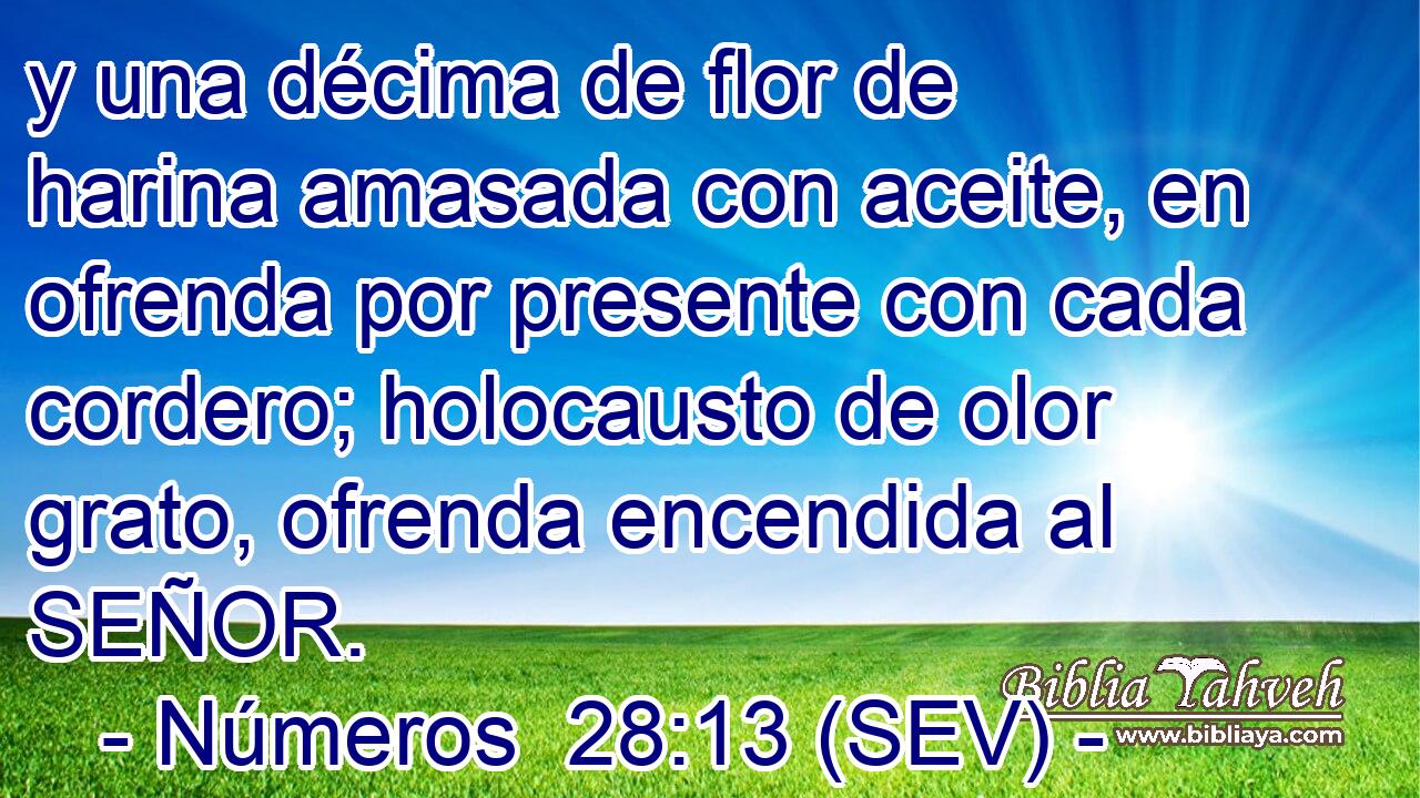 y una décima de flor de harina amasada con aceite, en ofrenda por presente con cada cordero; holocausto de olor grato, ofrenda encendida al SEÑOR.
