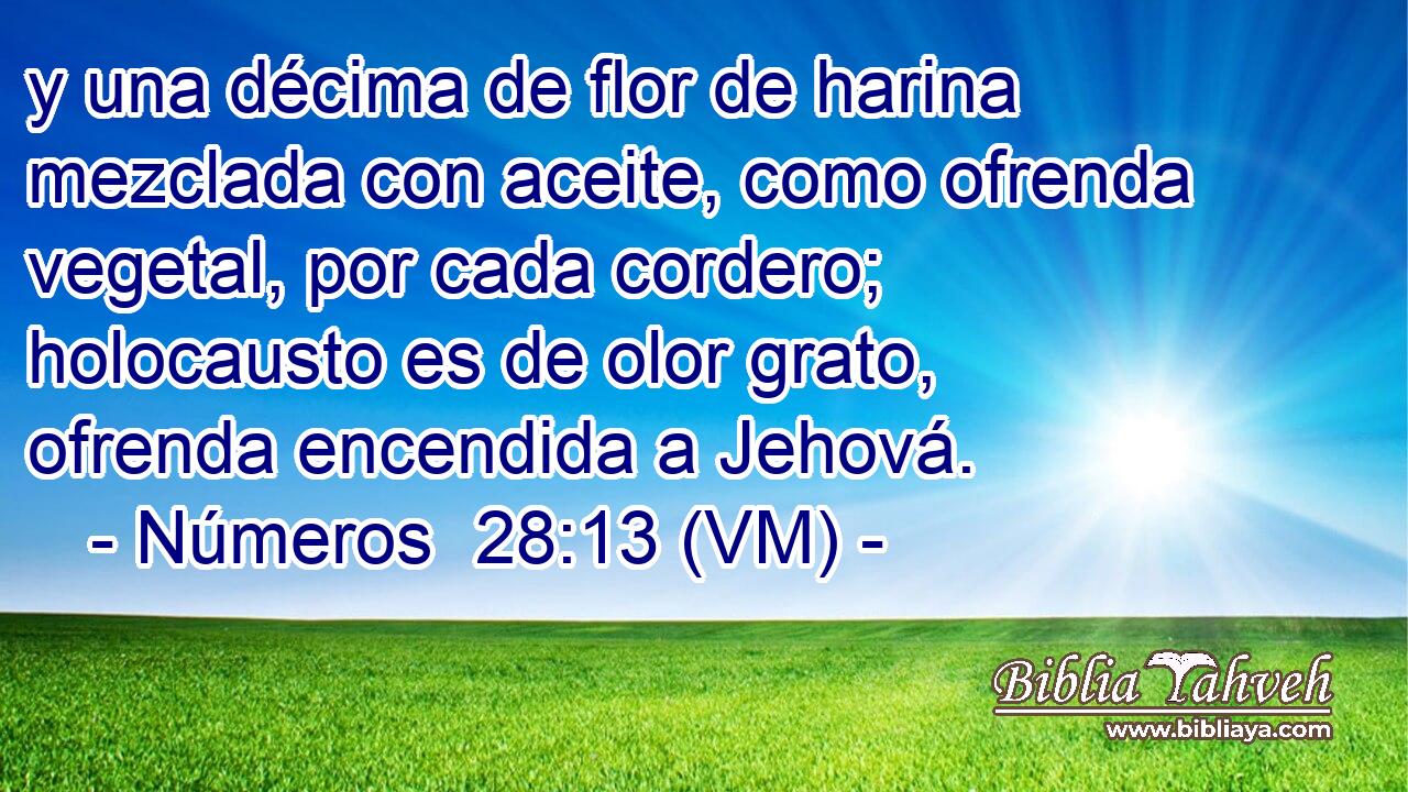  y una décima de flor de harina mezclada con aceite, como ofrenda vegetal, por cada cordero; holocausto es de olor grato, ofrenda encendida a Jehová. 