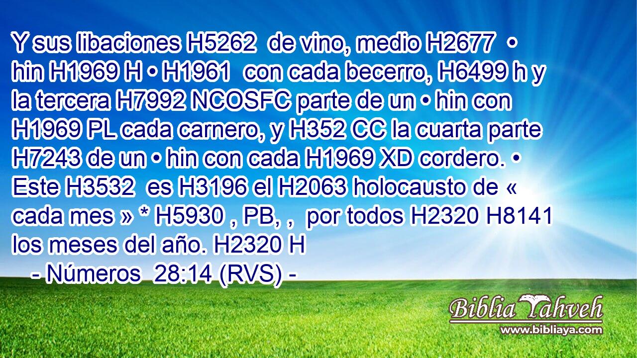 Y sus libaciones H5262  de vino, medio H2677  • hin H1969 H • H1961  con cada becerro, H6499 h y la tercera H7992 NCOSFC parte de un • hin con H1969 PL cada carnero, y H352 CC la cuarta parte H7243 de un • hin con cada H1969 XD cordero. • Este H3532  es H3196 el H2063 holocausto de « cada mes » * H5930 , PB, ,  por todos H2320 H8141 los meses del año. H2320 H 