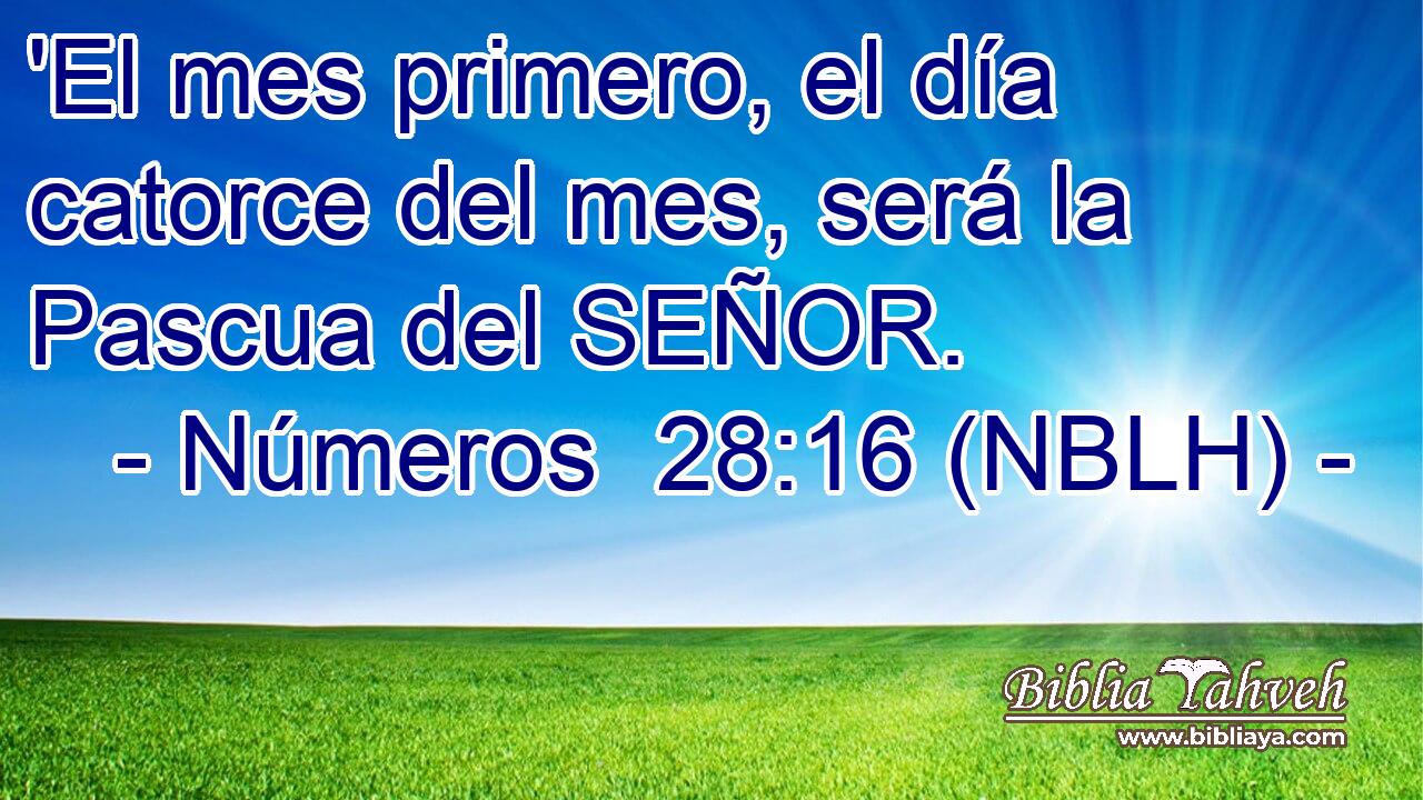  'El mes primero, el día catorce del mes, será la Pascua del SEÑOR. 