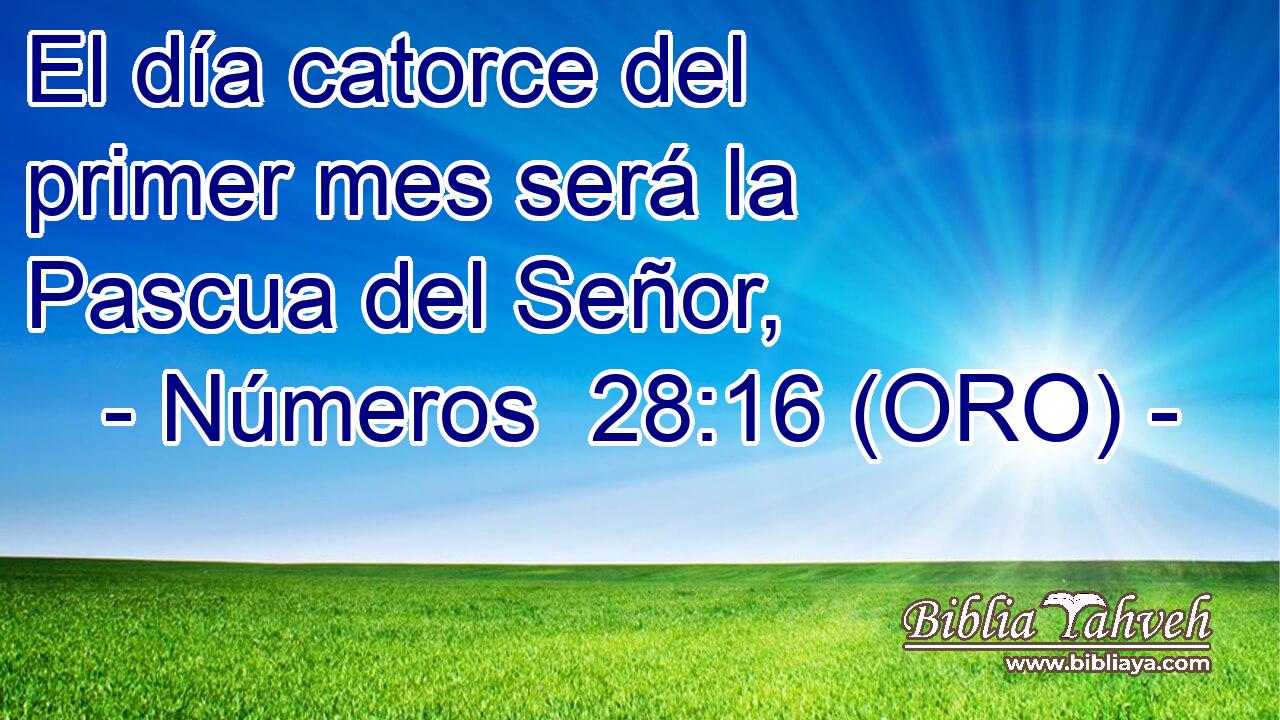  El día catorce del primer mes será la Pascua del Señor, 