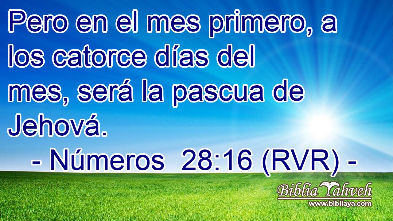 Pero en el mes primero, a los catorce días del mes, será la pascua de Jehová.