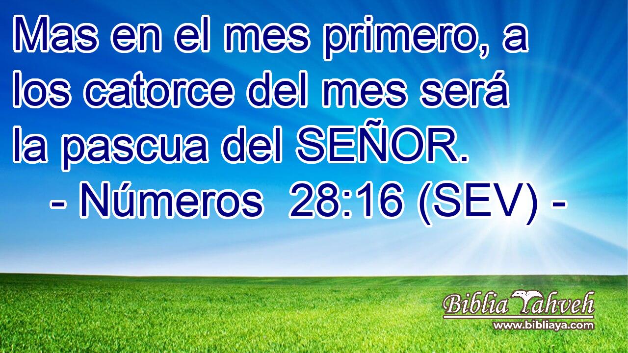 Mas en el mes primero, a los catorce del mes será la pascua del SEÑOR.
