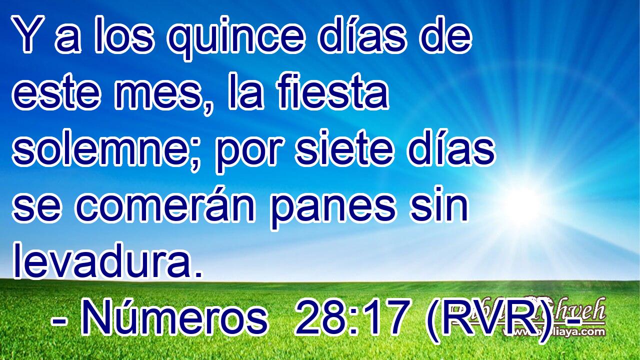 Y a los quince días de este mes, la fiesta solemne; por siete días se comerán panes sin levadura.